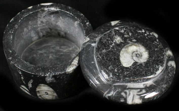 Small Fossil Goniatite Jar (Black) - Stoneware #26209